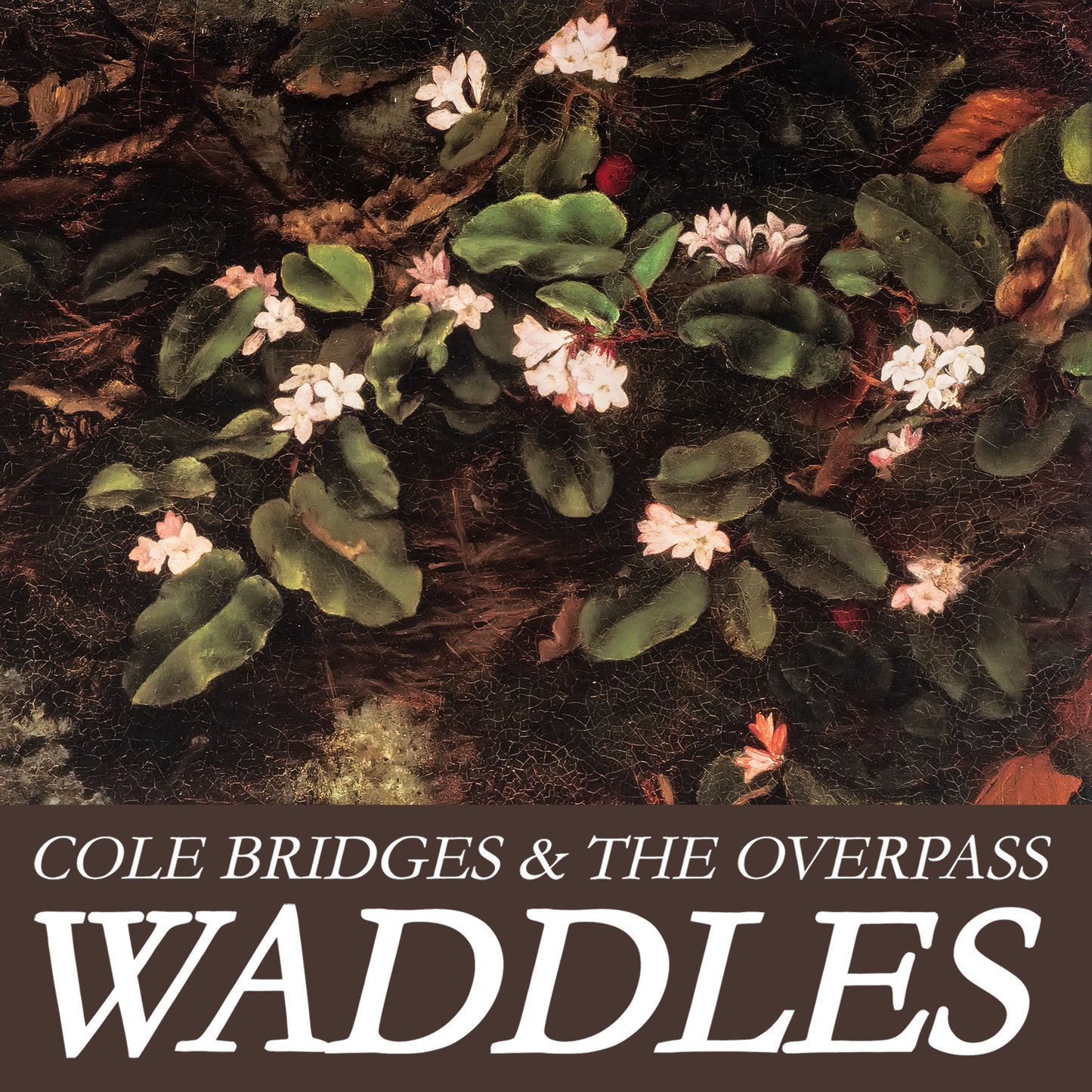 Cole Bridges "Waddles" T-Shirt